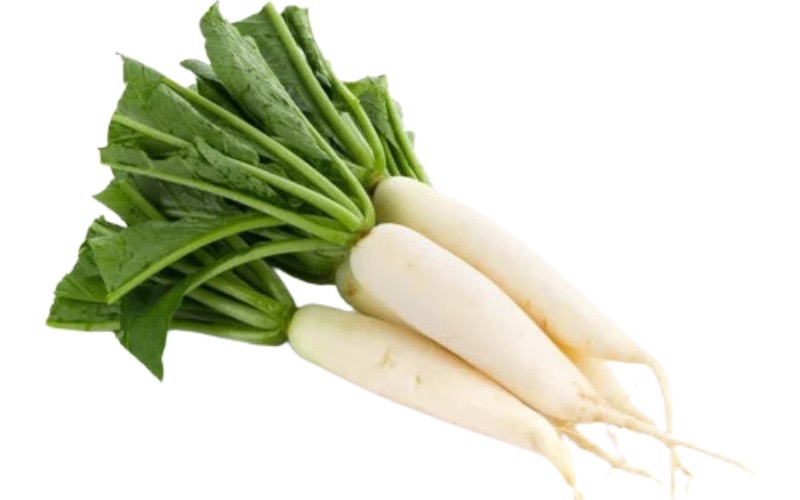 Radish (मूली)